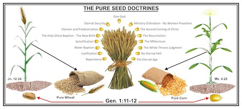 THE PURE SEED DOCTRINES!